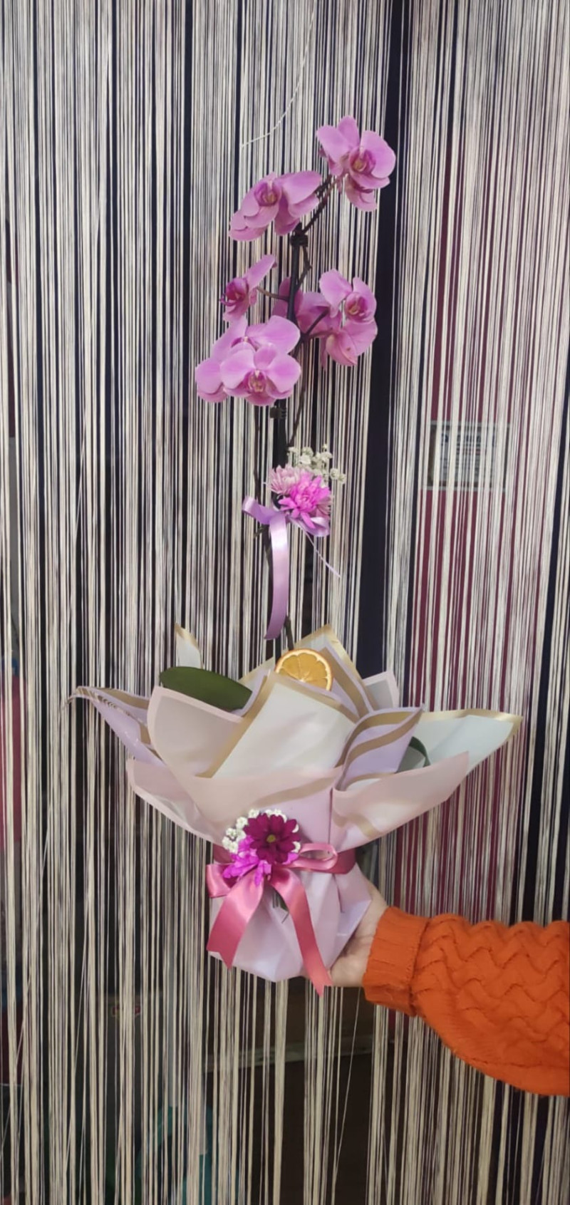 TEK DAL PEMBE ORKİDE